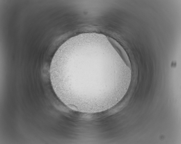 X0000116760624201001281613