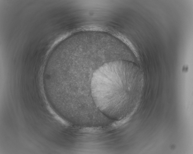 X0000116760625201001281612