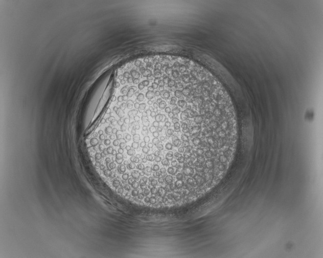 X0000116760626201001281612