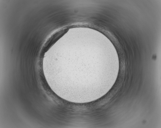 X0000116760628201001281612