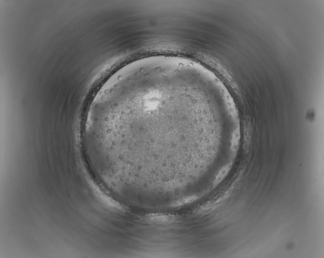 X0000116760629201001281612