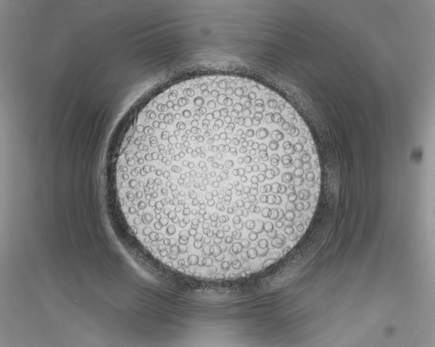 X0000116760630201001281612