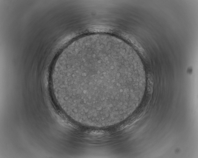 X0000116760631201001281612