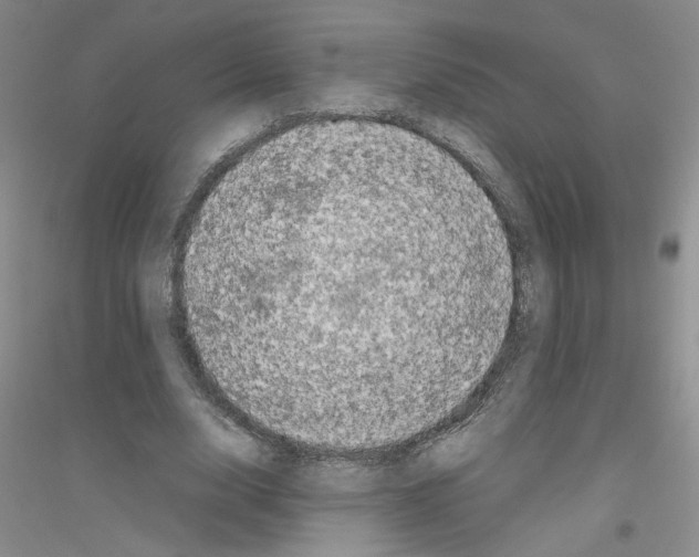 X0000116760632201001281612