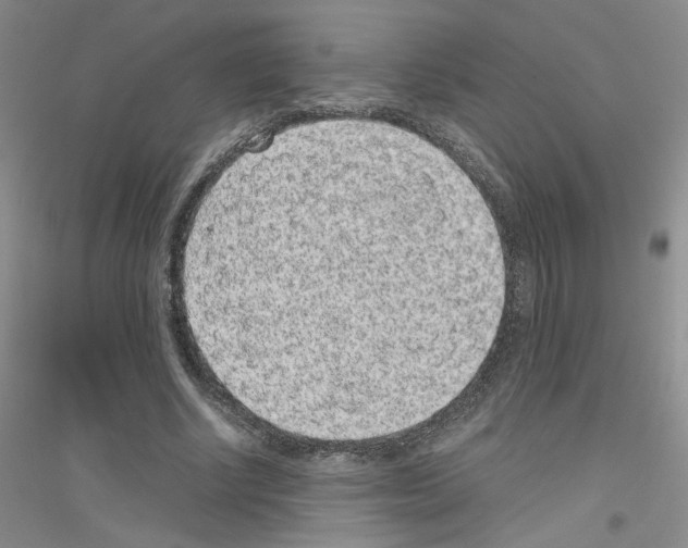 X0000116760634201001281612