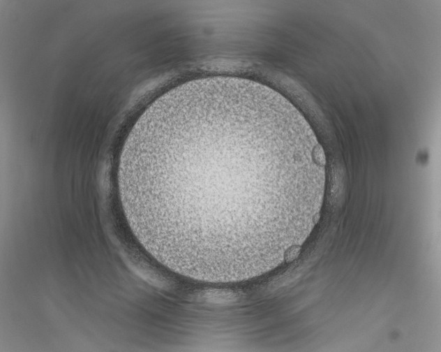 X0000116760636201001281612