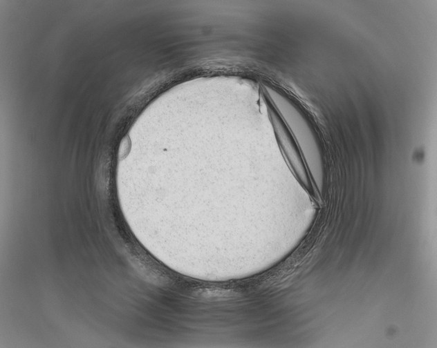 X0000116760637201001281612