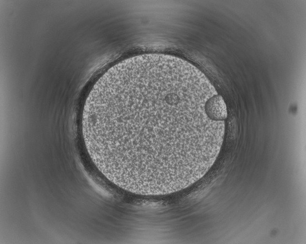 X0000116760638201001281612