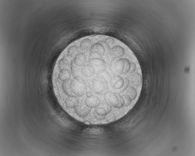 X0000116760639201001281612