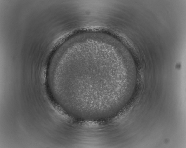 X0000116760640201001281612