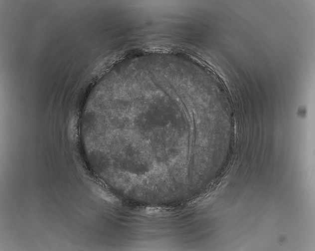 X0000116760641201001281613