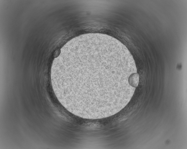 X0000116760642201001281613