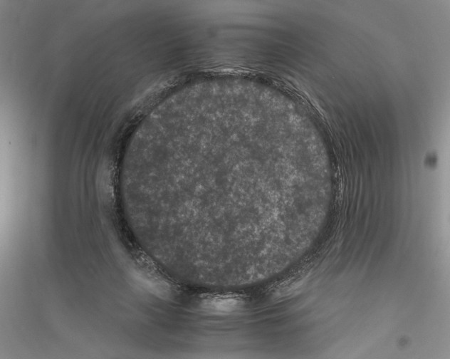 X0000116760643201001281613