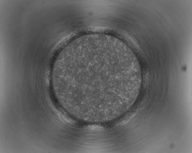 X0000116760644201001281613