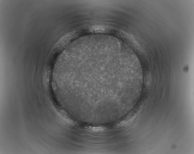 X0000116760645201001281613