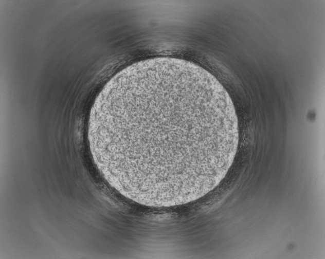 X0000116760646201001281613