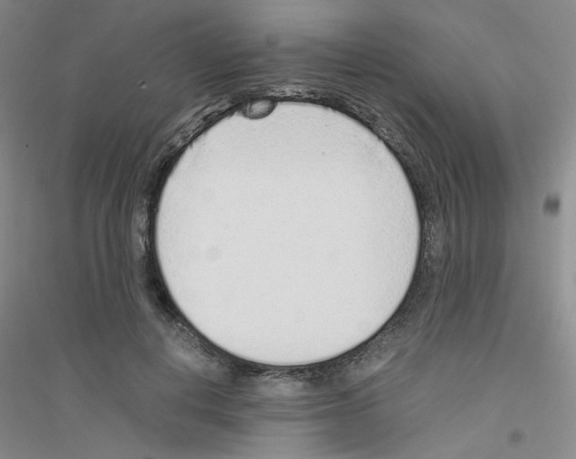 X0000116760648201001281613