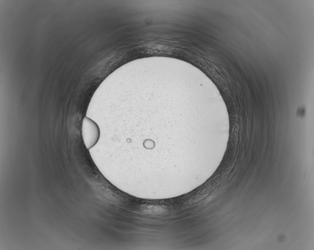 X0000116760649201001281613