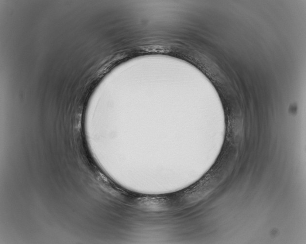 X0000116760652201001281613