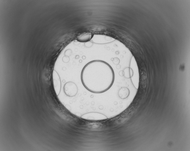 X0000116760654201001281613