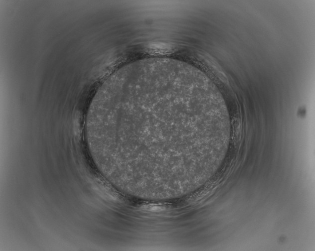 X0000116760655201001281613