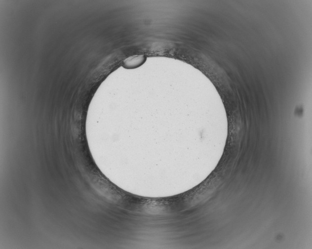 X0000116760656201001281613