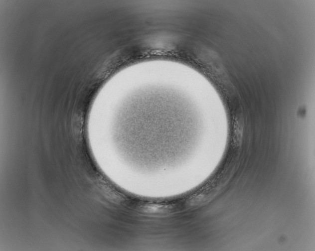 X0000116760657201001281613