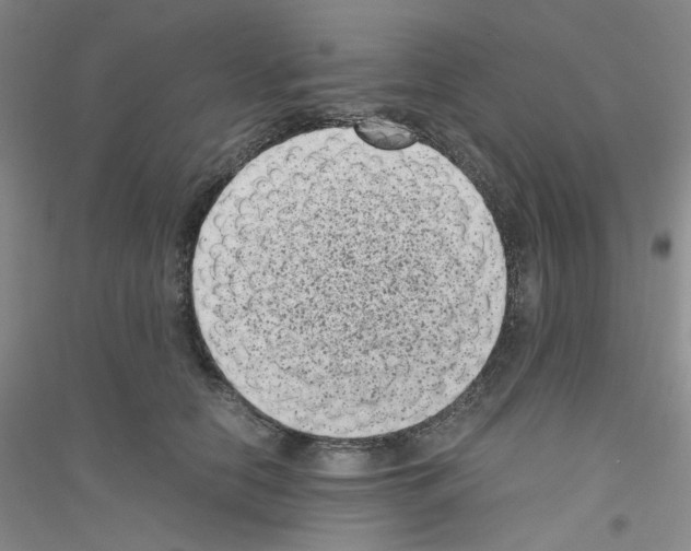 X0000116760658201001281613