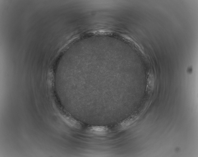 X0000116760659201001281613