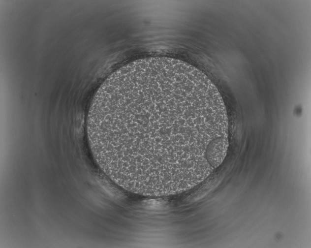 X0000116760660201001281613