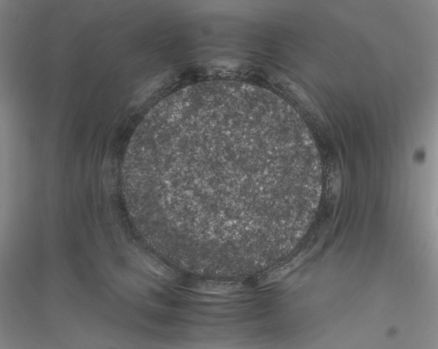 X0000116760661201001281613