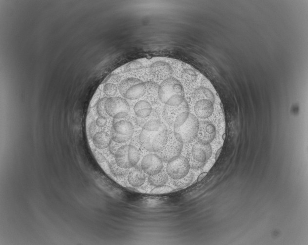 X0000116760662201001281613