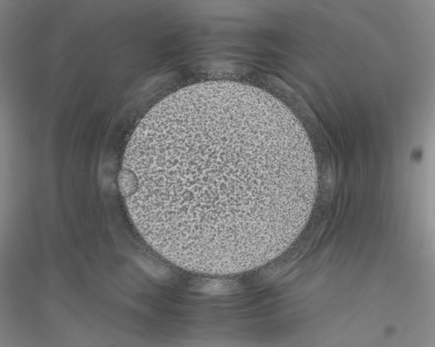 X0000116760663201001281613