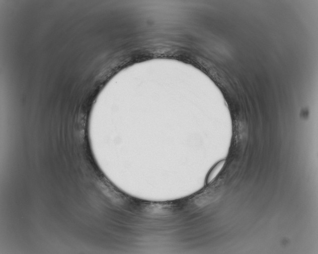 X0000116760664201001281613