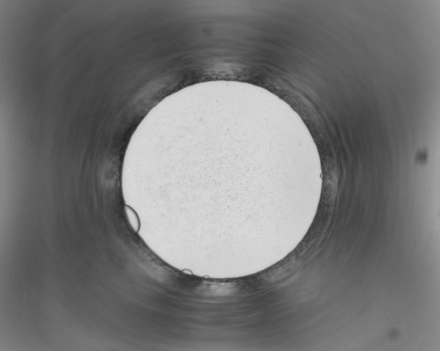 X0000116760665201001281613