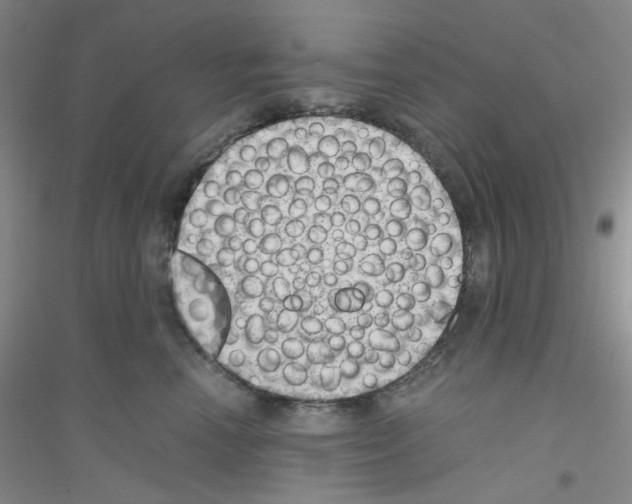 X0000116760666201001281613