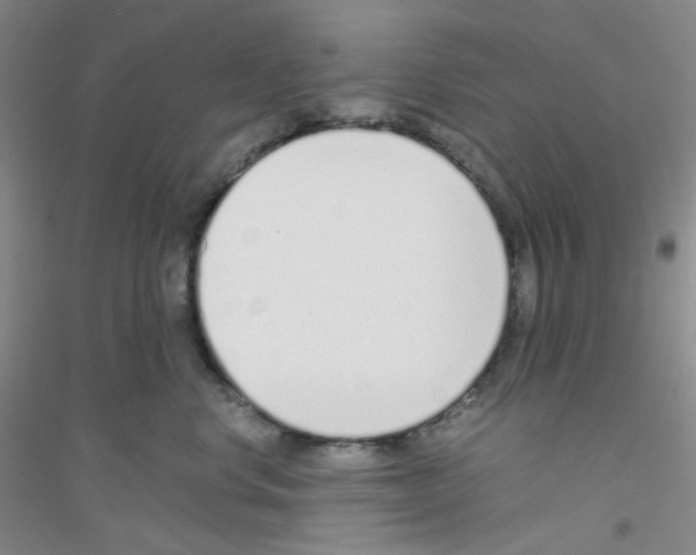 X0000116760668201001281613