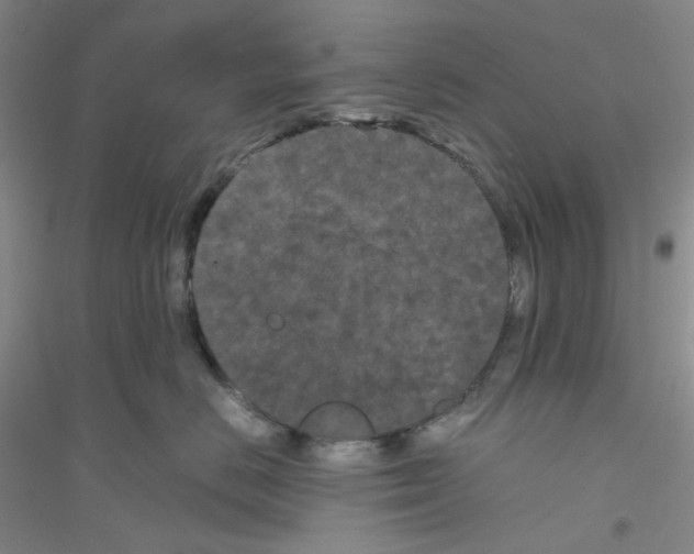 X0000116760670201001281613