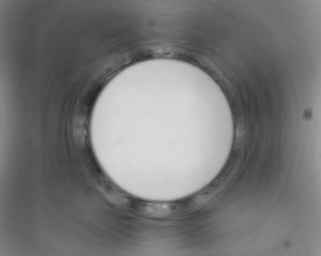 X0000116760671201001281613