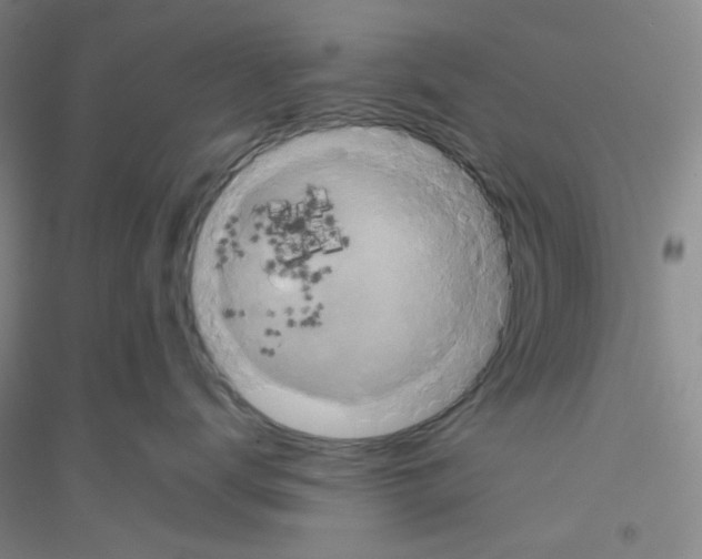 X0000116760672201001281613