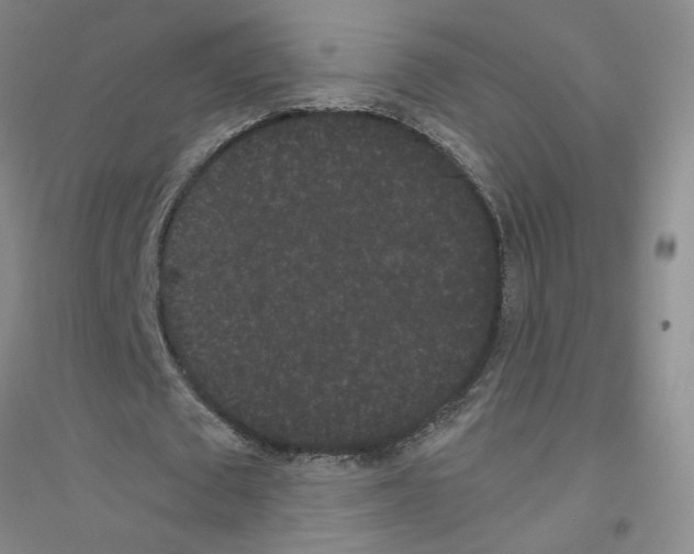 X0000116760673201001281612