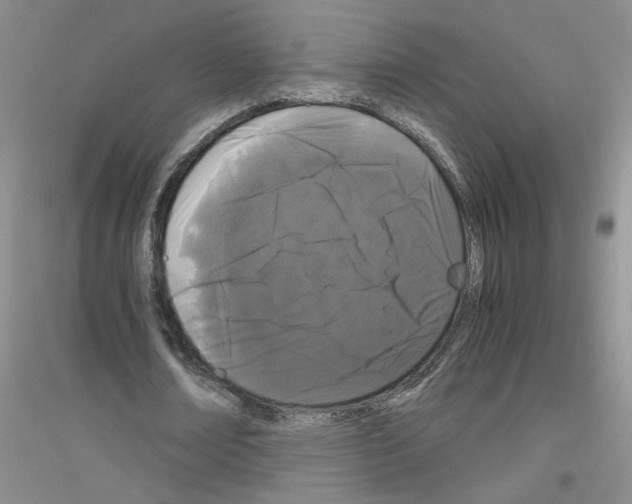 X0000116760674201001281612