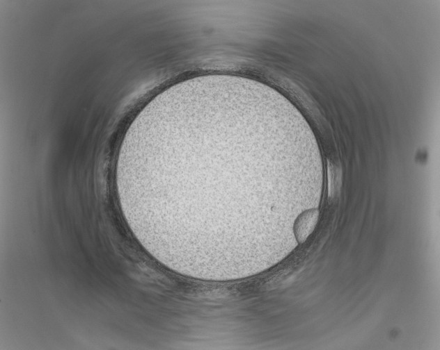 X0000116760675201001281612