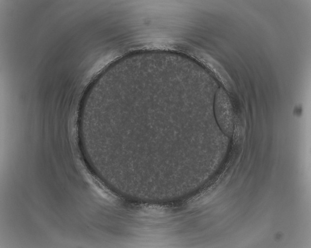 X0000116760677201001281612