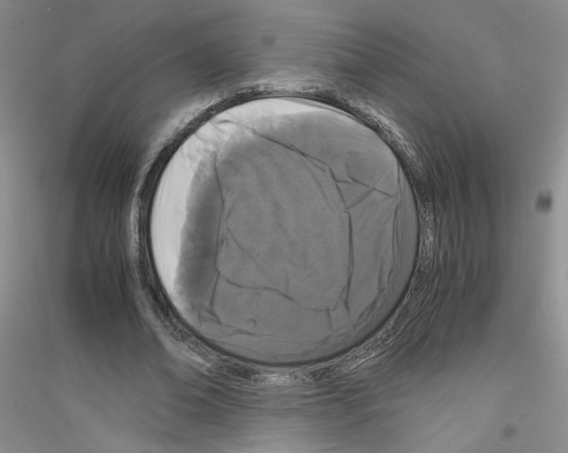 X0000116760678201001281612