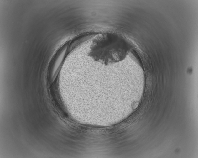 X0000116760679201001281612