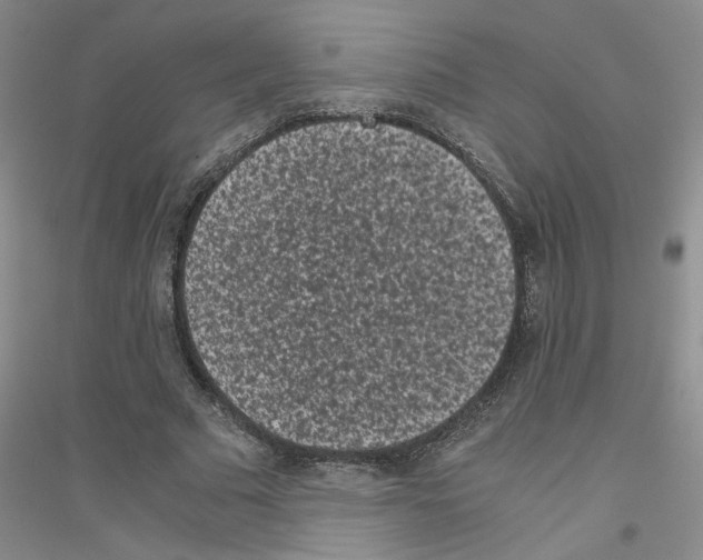 X0000116760681201001281612