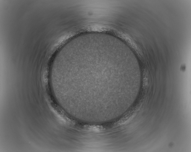 X0000116760683201001281612