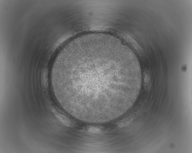 X0000116760684201001281612