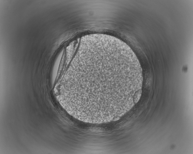 X0000116760685201001281612